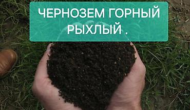Чернозём горный, рыхлый. - Структура: однородная, мелкозернистая