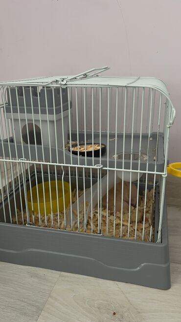 клетка для собаки в квартиру: Клетка хомяка