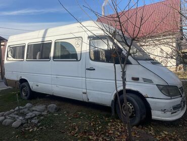 mercedesbenz sprinter дилфин: Mercedes-Benz Sprinter: 2004 г., 3 л, Механика, Дизель, Бус