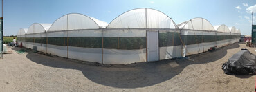 Теплицы: Теплица, предназначенная для выращивания различных — 13