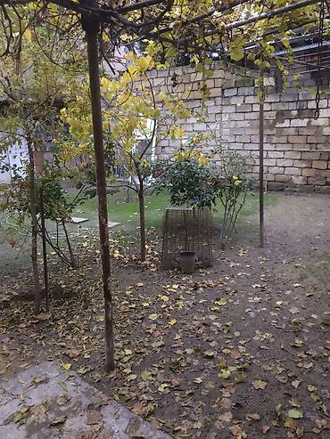 bilecerde: Biləcəri 3 otaqlı, 3 kv. m — 8