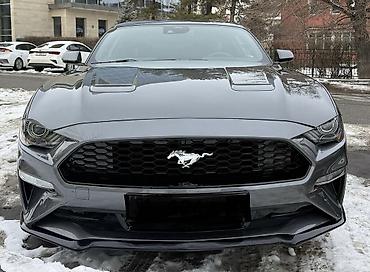 Ford: Ford Mustang: 2022 г., 2.3 л, Автомат, Бензин, Купе — 1