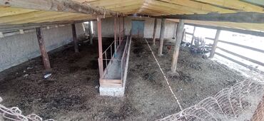 Продажа домов: Дом, 1000 м², 2 комнаты, Собственник, Старый ремонт — 8