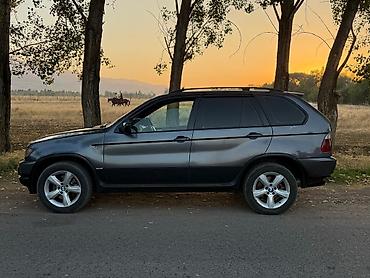 1 9 тди: BMW X5: 2003 г., 3 л, Автомат, Дизель, Кроссовер — 1