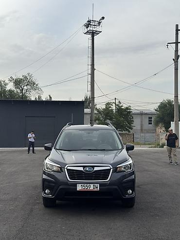 Subaru: Subaru Forester: 2019 г., 2.5 л, Вариатор, Кроссовер — 11