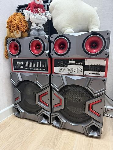 Портативная акустическая система DJ/Professional Audio System —