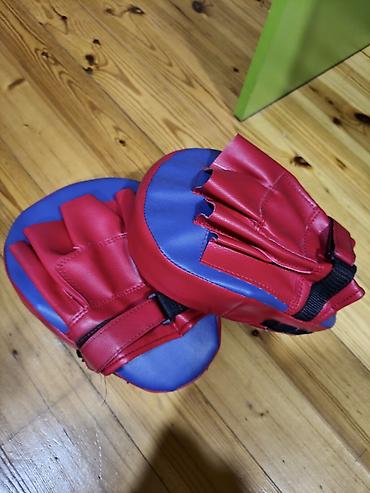 boks torbasu: Everlast fokus yastıqları (mitts) – cüt. CİDDİ İSDİYENE ENDİRİM — 2