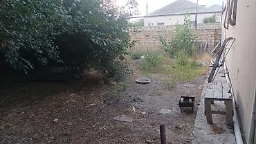 konteyner satışları: 2 sot, Tikinti, Mülkiyyətçi, Kupça (Çıxarış) — 1