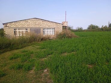 Torpaq sahələrinin satışı: 40 sot, Kənd təsərrüfatı, Mülkiyyətçi, Kupça (Çıxarış) — 16