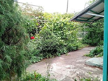 Продажа домов: Дача, 25 м², 3 комнаты, Собственник — 2