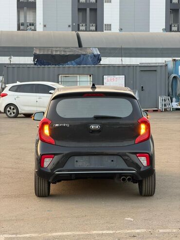 Kia: Kia Picanto: 2019 г., 1 л, Автомат, Бензин, Хэтчбэк — 8