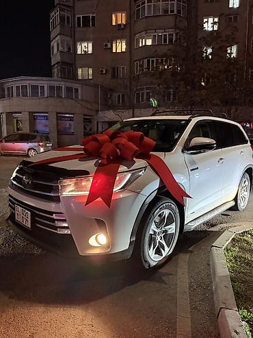 Декоративные ленты и банты: Большой декоративный бант для автомобиля - Яркий красный цвет — 21