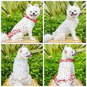 Зоотовары: ПРОДАЮ НОВЫЕ АВТО/КОРМУШКИ АВТО/ПОИЛКИ ДЛЯ КОШЕК И СОБАК(с — 20