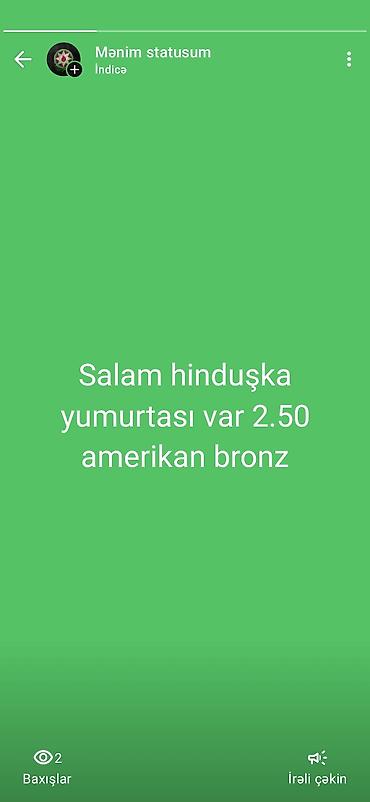 Qida məhsulları: Məhsul: Hinduşka yumurtası Cins: Amerikan Bronz (American Bronze) — 1