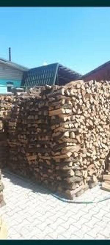 дрова бесплатно: Дрова Карагач, Бесплатная доставка