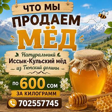 иссык кульский чеснок: Натуральный иссык-кульский мёд из Тюпской долины. Ароматный, янтарный — 1