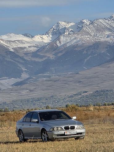 BMW: BMW 525: 2005 г., 2.5 л, Автомат, Бензин, Седан — 1