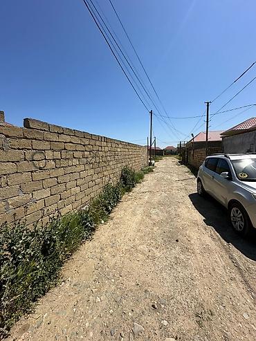 mehdabat: 4 sot, Kənd təsərrüfatı, Maklerlər narahat etməsin, Kupça (Çıxarış) — 3