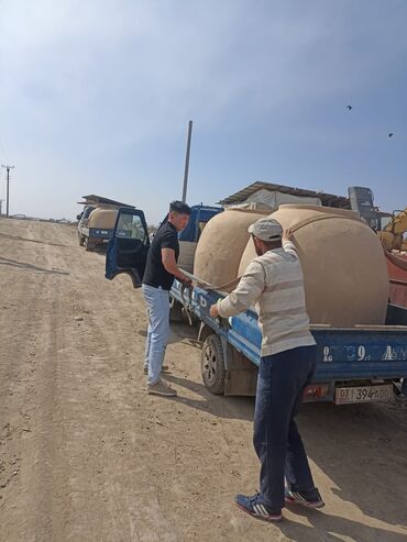 Очок: Тандыры Больше 6 лет опыта — 9