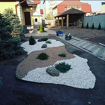 Газон: Поссев газон✓ Посадка цветов ✓ Посадка декоративных растений ✓ — 2