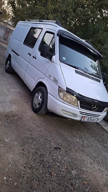 бризгавик на спринтер: Mercedes-Benz Спринтер: 2004 г., 2.7 л, Механика, Дизель, Бус — 1