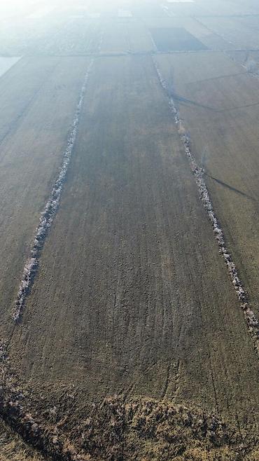 Продажа участков: 280 соток, Для сельского хозяйства — 4