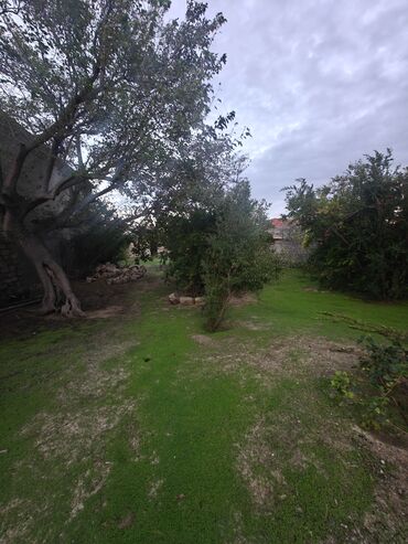 Torpaq sahələrinin satışı: 10 sot, Tikinti, Mülkiyyətçi, Kupça (Çıxarış) -da lalafo.az — 14 Torpaq sahələrinin satışı: 10 sot, Tikinti, Mülkiyyətçi, Kupça (Çıxarış) — 14