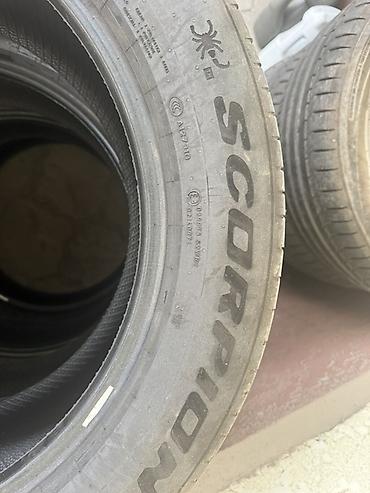 pir: Pirelli Scorpion – комплект шин для кроссоверов/SUV. Характеристики — 3