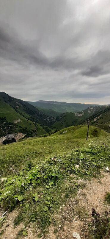 Sərnişin daşımaları: Minivan, 8 Oturacaq — 4