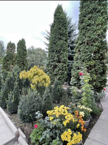 Продажа домов: Дом, 85 м², 3 комнаты, Собственник, Старый ремонт — 10