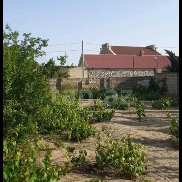 Torpaq sahələrinin satışı: 8 sot, Tikinti, Mülkiyyətçi, Kupça (Çıxarış)