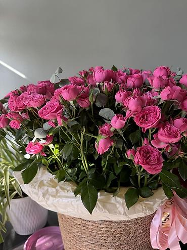 лотос цветы: Прекрасные цветы 
Отдаю за 4 000подарили только что — 3