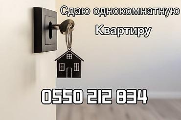 ысык куле: 1 бөлмө, Менчик ээси, Жаныбарлары жок, 6 айдан баштап, Толугу менен эмереги бар — 2