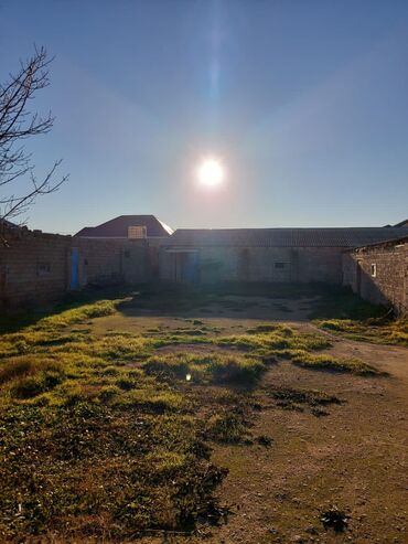 Bağ evlərinin satışı: Bakı, Qala qəs., 550 kv. m, 3 otaqlı, Hovuzsuz, Artezian quyusu, Qaz, Su — 16