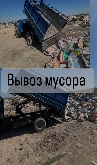Другие животные: Портер такси портер такси портер такси Портер такси портер такси