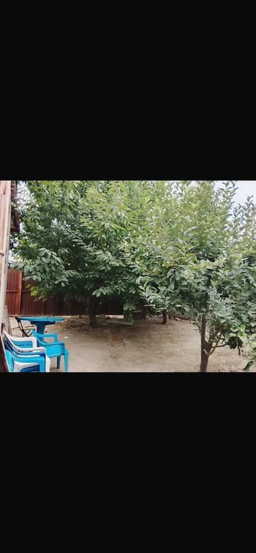 меняю на скот: Продаётся жилой дом с участком. Все документы имеются. Подходит для — 6
