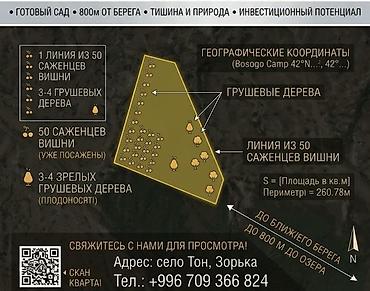 Жер тилкелери: 40 соток, Кызыл китеп — 3
