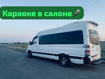 электро муравей цена: Ысык-Көль, Кордай көзөмөл-өткөрүү пункту Бус | 19 орундук