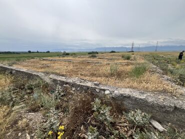двухкомнатный дом: 20 соток, Для бизнеса, Генеральная доверенность