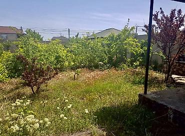 sabuncuda: Sabunçu qəs. 8 otaq, 320 kv. m, Təmirsiz — 3