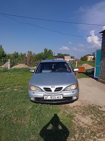 195 70 с: Nissan Primera: 2001 г., 1.8 л, Механика, Бензин, Седан — 2