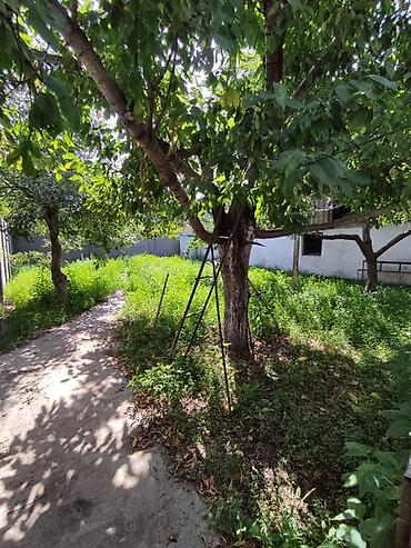 400: 📍 В Сокулуке от трассы 250 м продается дом на участке 6 соток. 🏡Дом — 4