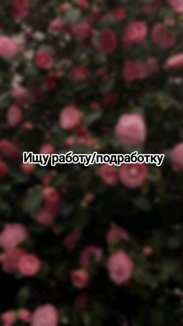 надомную работу: Ищу работу/подработку Девушка, 17 лет. Паспорт имеется. Готова
