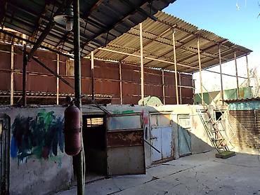 Распашные ворота: Продается дом, в доме четыре комнатыверанда,душ с туалет, есть at lalafo.kg — 21 Распашные ворота: Продается дом, в доме четыре комнатыверанда,душ с туалет, есть — 21