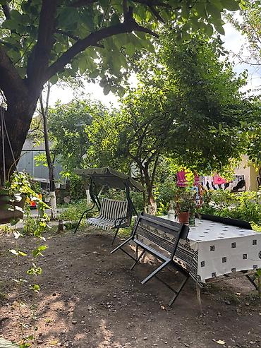Günlük kirayə mənzillər: 5 otaqlı — 20