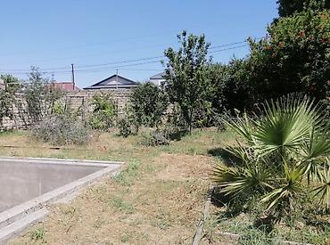 Torpaq sahələrinin satışı: 8 sot, Tikinti, Bələdiyyə — 8