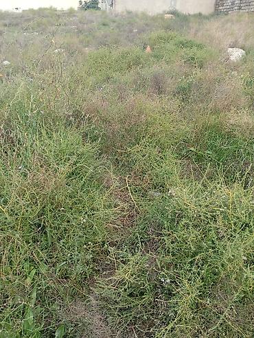 zigda heyet evi: 6 sot, Tikinti — 2