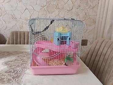 Siçan/hamster ile 2 mərtəbəli!qəfəs dəsti 'qızdı yemək və qumu ile