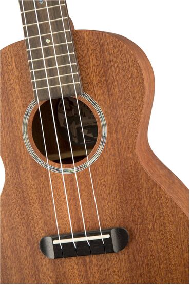 сколько стоит укулели: Укулеле “FENDER” (гавайская гитара) Продам в хорошие руки. В отличном