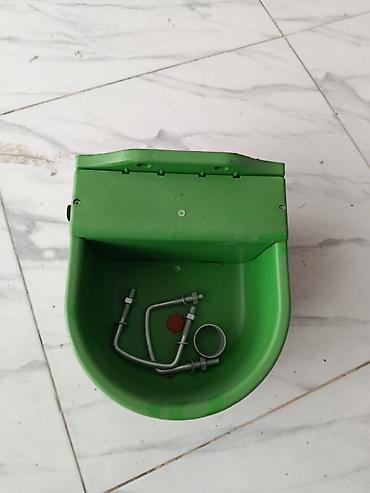 at aliram: Yem qabı, Su üçün, Heyvanlar üçün, Rayonlara çatdırılma, Ödənişli çatdırılma, Ünvandan götürmə — 1
